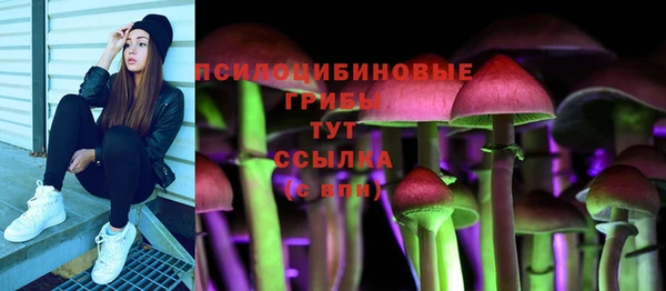 мдпв Бородино