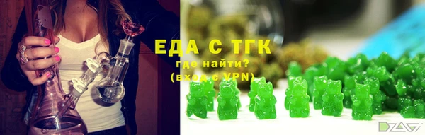 мдпв Бородино