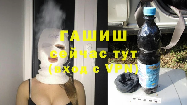 мдпв Бородино