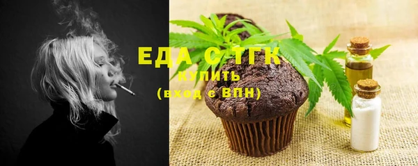мдпв Бородино